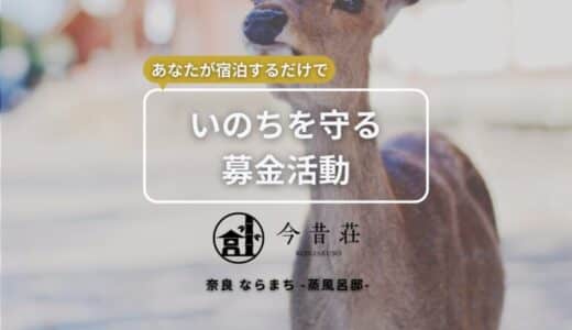 奈良の魅力を伝える民泊「今昔荘」、売上の一部を奈良公園の鹿保護へ寄付 ～「宿泊で鹿を守る」特別プランの販売を開始～