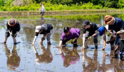 コメ不足の今だからこそ体験してほしい!!「親子でお米の田植え体験イベント」を5月25日に開催